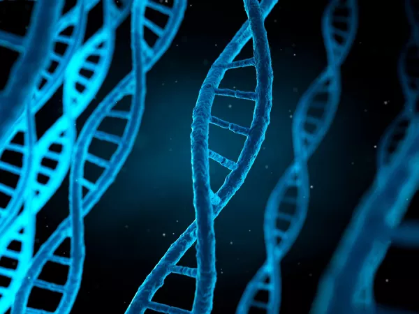 multiple  dna helixes in a microscopic image